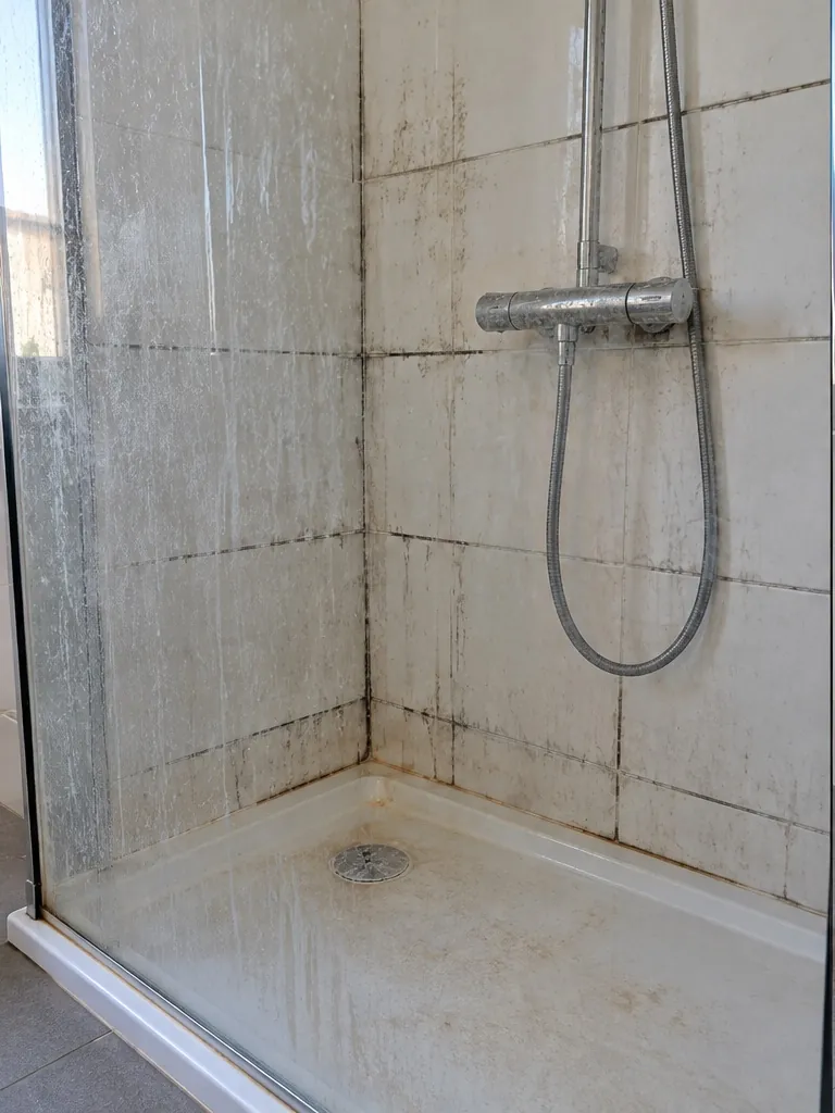 Douche en fin de bail avant nettoyage : calcaire et joints noircis